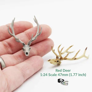 Red Deer Skull - 1:24 Scale Replica Dollhouse, Diorama Miniature (1 skull) - Picture 1 of 6