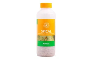 Spical 25000 Neoseiulus californicus Koppert 24h service - Imagen 1 de 4