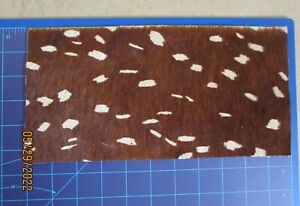 Axis Deer Print Cowhide Hair-on-Hide Leather 5.5"x11" FREE USA SHIPPING!!!
