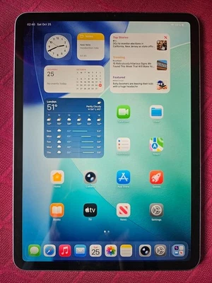Apple iPad Pro 1st Gen. 11 in, A1980, 256GB, Wi-Fi, Grey  (115) - Image 1 of 4