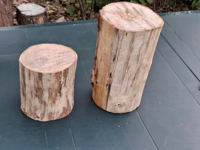 DEKO Baumstamm Holz Klotz KASTANIE 2 Stück Höhe 15 / 25 cm Durchmesser 13 cm - Bild 1 von 4