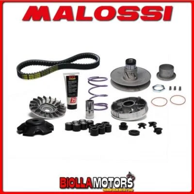 6118836 GRUPPO TRASMISSIONE OVER RANGE MALOSSI PIAGGIO ZIP SP 50 2T LC 2001->  ( - Immagine 1 di 4