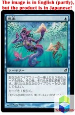 Magic: The Gathering MTG Jpver Foil Ponder LRW Common