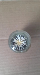 Vintage gear shift knob for cars manufactured in the USSR was made in prison. - Picture 1 of 5