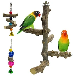 Natural Wood Bird Perch Stand Rotating Balls Spinning Toy Parakeets Cockatiels - Picture 1 of 6