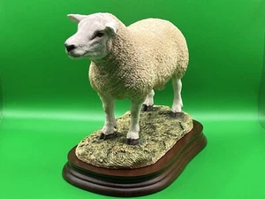 Border Fine Arts Figur "Texel Widder" #B0530 verpackt A1 Zustand 20 cm hoch COA - Bild 1 von 23