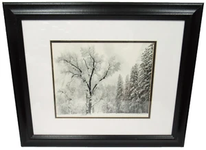 Ansel Adams Oak Tree Winter Snowstorm El Capitan Meadow Yosemite CA Framed Print - Picture 1 of 5