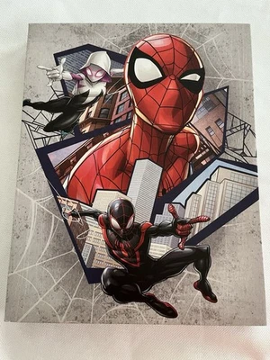 Spider-Man Into the Spider-Verse Picture - Image 1 of 4