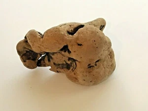 1 Large Driftwood Knot Nautical Decor Terrarium Dish Garden - Picture 1 of 2
