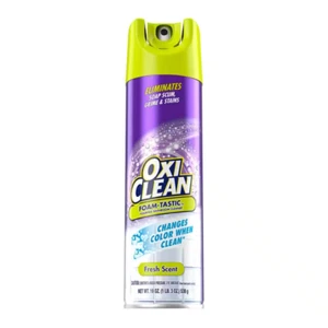 19 Oz. Spray Can Foam-Tastic Foaming Bathroom Cleaner, Fresh Scent - Picture 1 of 8