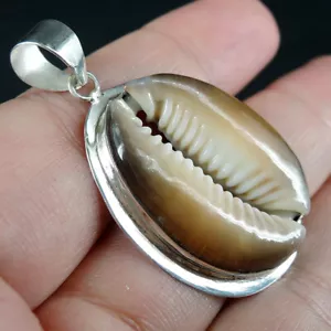 Ciondolo Conchiglia Cowrie Argento Sterling 925 Naturale Gioielli, CSP-23 - Foto 1 di 6