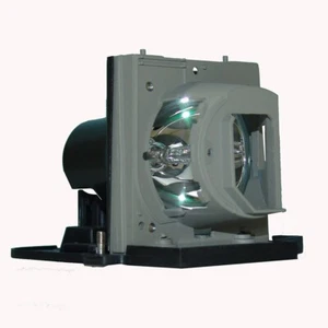 Acer EC.J3901.001 Phoenix Projector Lamp With Housing - Picture 1 of 5