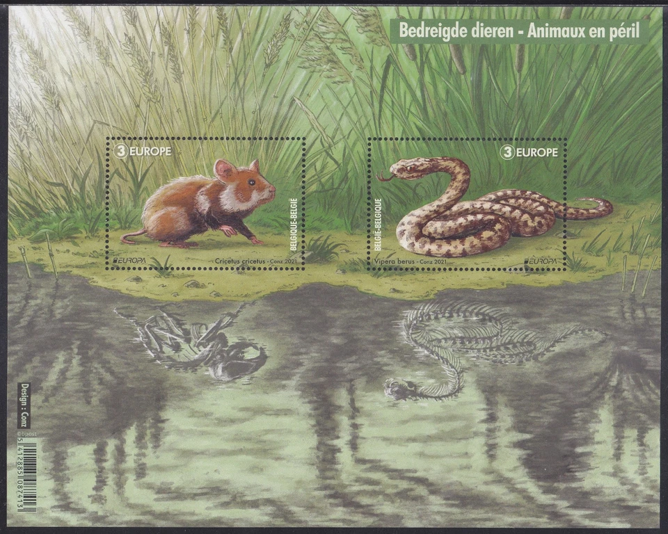 比利时 2021 (SS 2021 - 06) 濒危国家野生动物 - 蛇 — 第 1/1 张图片