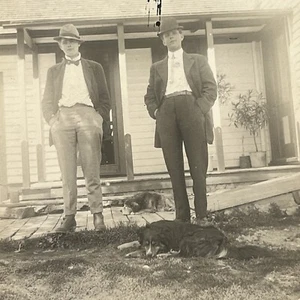 Antique RPPC Real Photograph Postcard Outside Handsome Men With Sleepy Dogs - Picture 1 of 10