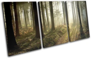 Woodland Forest Walking Path Landscapes TREBLE CANVAS WALL ART Picture Print - Picture 1 of 1