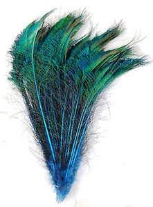 25 Pcs DYED PEACOCK SWORDS - TURQUOISE 20-25” Feathers Costume/Hats/Bridal/Pads - Picture 1 of 1