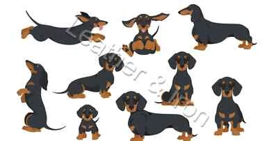 Nueva cubierta de chequera de vinilo Dachshund negra y tostada de pelo corto para perros Foto 1 de 2