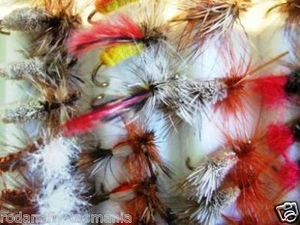 48 Of The Best Dry Fly Fishing Flies Guides Collection - Picture 1 of 1