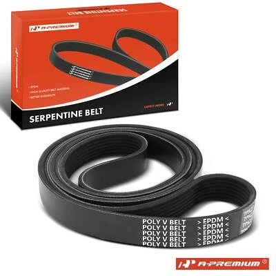 91.66 in Serpentine Belt for Jaguar XJ8 1998 1999 2003 Land Rover Range Rover - Image 1 of 4