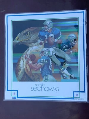 Vintage NFL SEATLE SEAHAWKS Football Poster USA Made 1979 DAMAC NFL Posters - Image 1 of 4