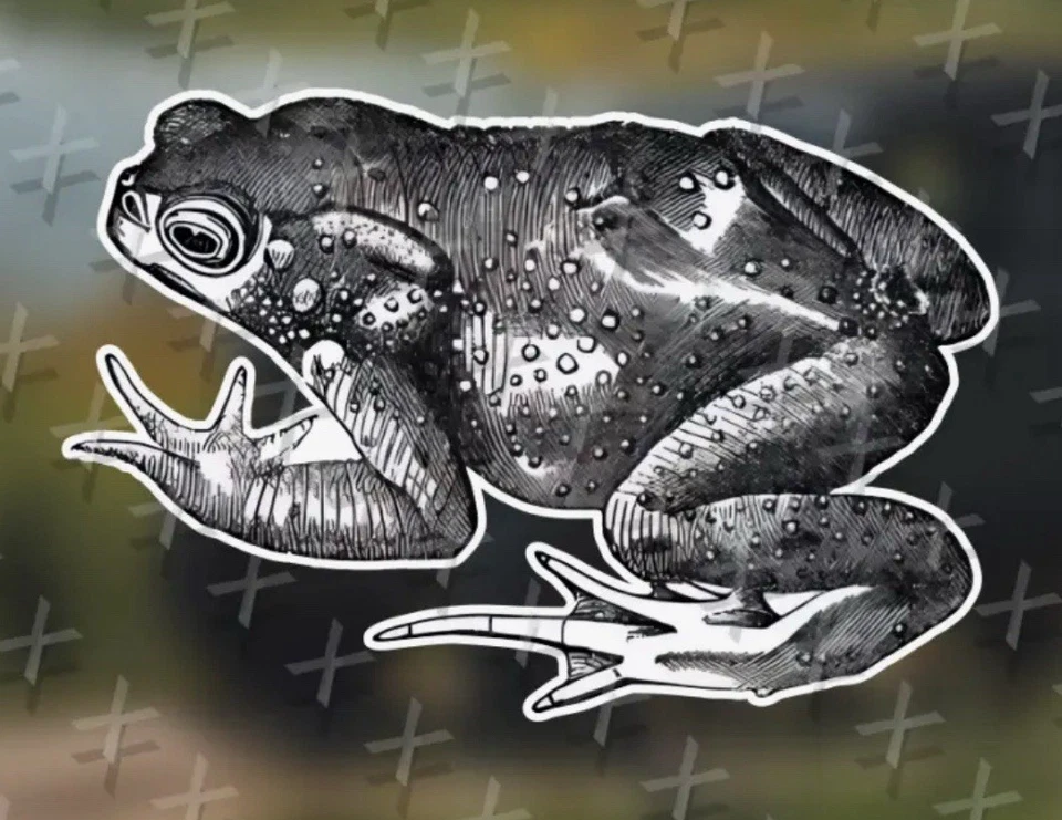 Pegatina de vinilo ilustración rana sapo vintage - negro y blanco/amantes de las ranas Foto 1 de 2