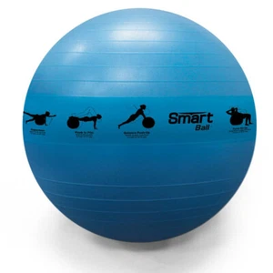 Prism Fitness 75cm/28in Smart Self-Guided Stability Exercise Medicine Ball, Blue - Picture 1 of 6