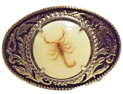 VTG Real Scorpion Belt Buckle Incased In Resin Cowboy Collectors Belt Buckle - Image 1 of 4