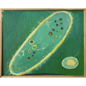 Vintage Outsider Microscopic Cell Formation Detail, Oil On Board - Bild 1 von 4