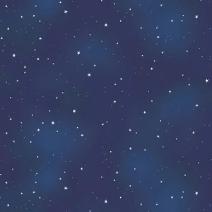 P&B Textiles - Practical Magic - Starry Sky - Blue, Fabric BTY - Picture 1 of 5