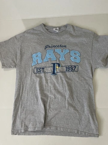 Princeton Rays West Virginia Minor League Baseball Size L Shirt Gray Tampa Bay Cover