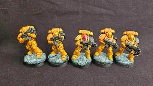 Imperial Fists | Intercessors | Painted & Ready for Battle - Picture 1 of 6