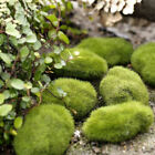 10 pièces jardin vert et pierre de mousse artificielle faite à la main plantes simulées soutien-gorge