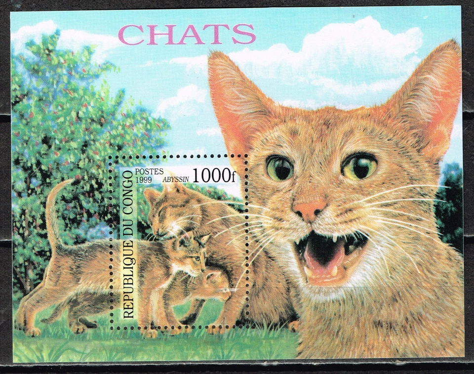 Congo Fauna African Abyssin Ethiopian Cats 1999 Souvenir Sheet MNH - Image 1 of 1