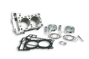 Malossi Bi Cylinder Modification Set 560cc 3115423 Yamaha Tmax 530 Year 2017 - Picture 1 of 1