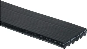 Cinturón Serpentine Micro-V K061115 - Imagen 1 de 7