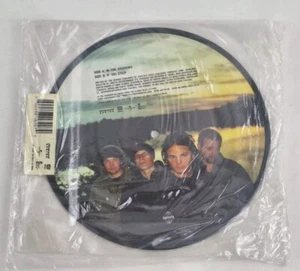 THE RASMUS In The Shadows Vinyl UK 7" PICTURE DISC PVC Sleeve Eurovision LP NEW - Picture 1 of 4