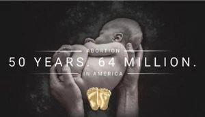 Precious Feet, Gold-Colored, 50 Years 64 Million Card Jewelry, Lapel Pin - Imagen 1 de 3