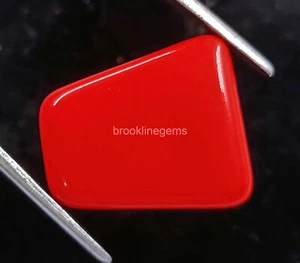 Piedra preciosa suelta opaca Italia corte elegante 16 quilates coral rojo natural certificado EGL - Imagen 1 de 7