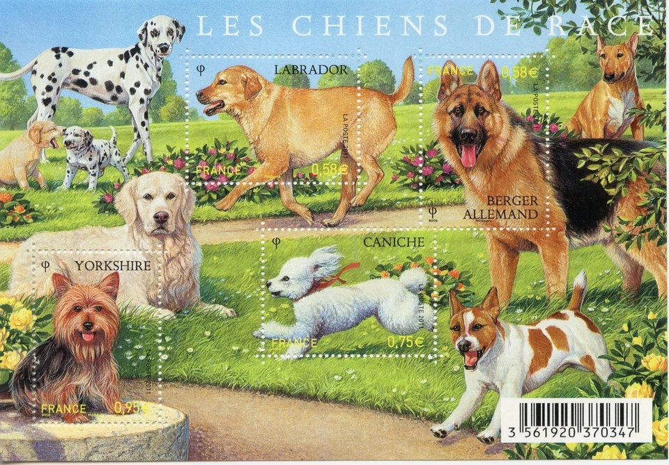 TIMBRE FRANCE NEUF BLOC  FEUILLET N° F4545 ** SERIE NATURE / FAUNE / LES CHIENS - Photo 1/1