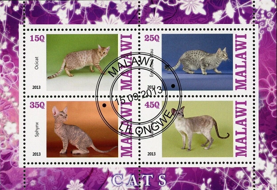 Malawi Cat Domestic Animal Ocicat Sphynx Souvenir Sheet of 4 Stamps - Image 1 of 4