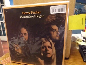 Heavy Feather Mountains Of Sugar Psych Blues Vinyl LP Brand New Ltd 500 copies 1 - Imagen 1 de 1