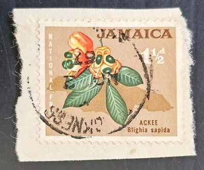 Jamaica 1967 sello 1,5d en pieza CD Blackness Foto 1 de 2