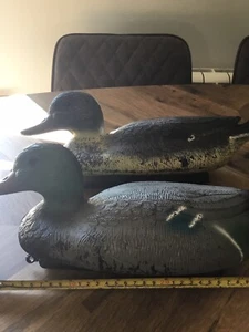 2 Lifelike Duck Floating Hunting Shooting Drake Duck Decoy Garden Decor - Picture 1 of 14