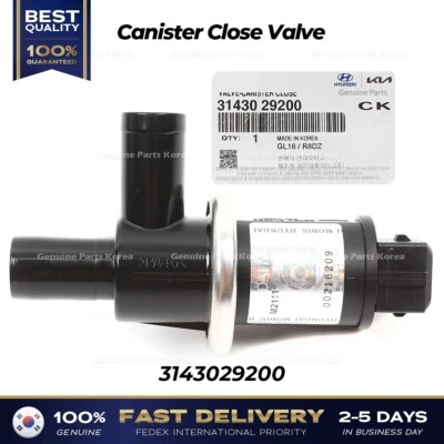 ⭐Genuíno⭐ Válvula de fechamento de vasilha 3143029200 para Hyundai Accent Elantra Kia Optima - Imagem 1 de 4