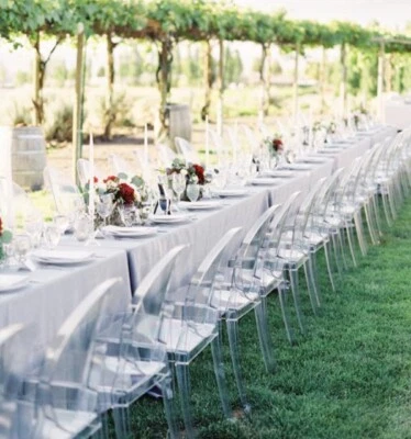 Set 2 Pezzi Sedia Trasparente Sala da Pranzo Cucina Wedding Moderna - Immagine 1 di 4