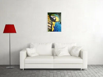 Cliprahmen Bild Bilderrahmen Poster Rahmenloser A4 Zertifikate Foto Plakate Deko - Bild 1 von 4