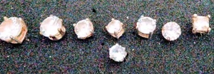 8 X Single Stud Cubic Zirconia 💎 EARRINGS ✳️No Backs✳️ Men Women Bling - Picture 1 of 1