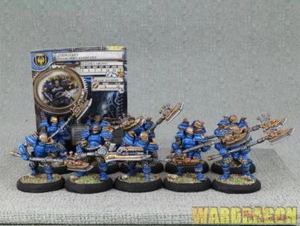 30mm Warmachine WDS painted Cygnar Privateer Exclusives Stormguard e22 - Picture 1 of 10