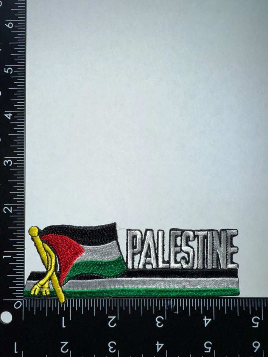 Parch De Bandera Paltina, Brazalete, Parche Bordado, Gancho Y