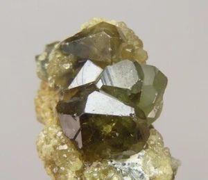 ANDRADITE var. DEMANTOID lustrous crystals MADAGASCAR Antetezambato Mine /ph111 - Picture 1 of 18